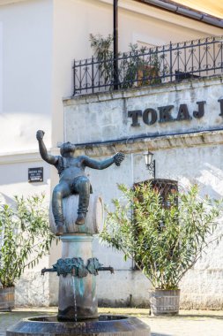 Tokaj kasabasının merkez meydanı, Tokaj bölgesi, UNESCO bölgesi, Great Plain, Kuzey Macaristan