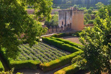 Alhambra, Generalife ve Albayzin, UNESCO sitesi, Granada, Endülüs, İspanya