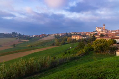 Grana Monferrato, Piedmont, İtalya yakınlarındaki tipik üzüm bağları