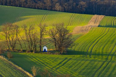 Strazovice, Güney Moravya, Çek Cumhuriyeti yakınlarındaki St. Barborkas şapeli manzaralı