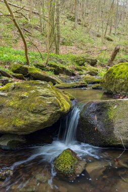 Burg Kaja ve Merkersdorf yakınlarındaki tipik manzara, Ulusal Park Thayatal, Aşağı Avusturya, Avusturya