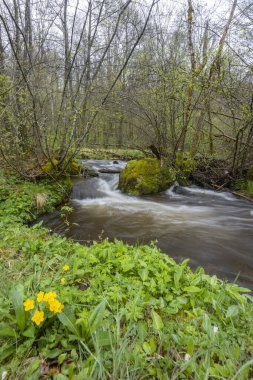 Plato des Grilloux, Thousand Ponds Plateau (Plateau des Mille etangs), Haute Saone, Bourgogne-Franche-Comte, Fransa