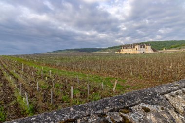 Clos de Vougeot, Cote de Nuits, Burgundy, Fransa yakınlarındaki tipik üzüm bağları