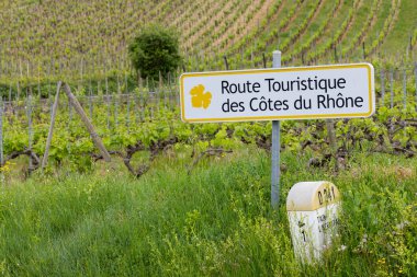 Tain l 'Hermitage, Cotes du Rhone, Fransa yakınlarındaki şarap yolu (Route Touristique des Cotes du Rhone) tipik üzüm bağı