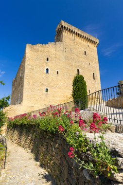 Chateauneuf-du-Pape Kalesi kalıntıları, Cotes du Rhone, Fransa