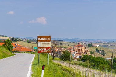 Barolo yakınlarındaki tipik üzüm bağları, Barolo şarap bölgesi, Cuneo ili, Piedmont bölgesi, İtalya