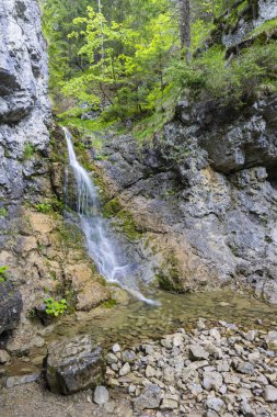 Raztocky Şelalesi, Kvacianska Vadisi, Chocske Vrchy, Slovakya
