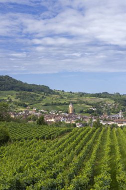 Vineyards with Arbois town, Department Jura, Franche-Comte, France clipart