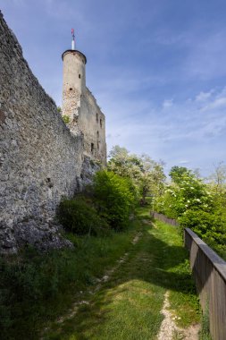 Falkenstein harabeleri, Aşağı Avusturya, Avusturya