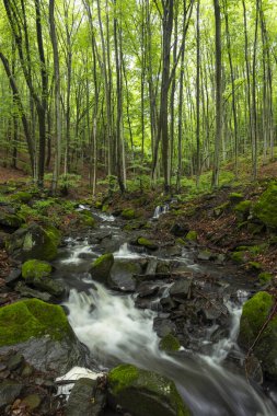 Starohutiansky waterfall near Nova Bana and Zarnovica, Pohronsky Inovec mountains, Slovakia clipart