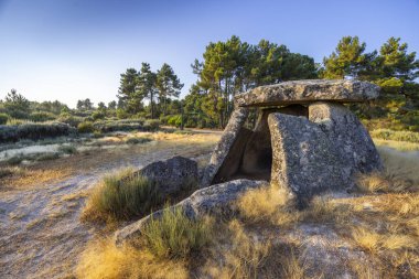 Alijo yakınlarındaki Dolmen Anta de Fonte Coberta, Vila Cha, Portekiz