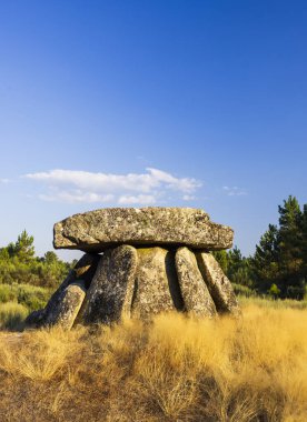 Alijo yakınlarındaki Dolmen Anta de Fonte Coberta, Vila Cha, Portekiz