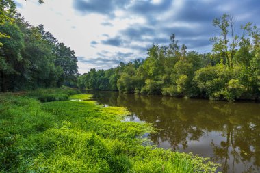 Isac Nehri, Guenrouet yakınlarındaki Nantes-Brest Kanalı, Loire-Atlantique, Fransa