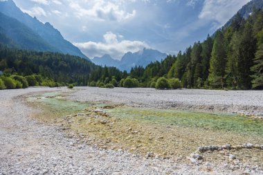 Kranjska Gora yakınlarındaki Pisnica nehri, Triglavski ulusal parkı, Slovenya