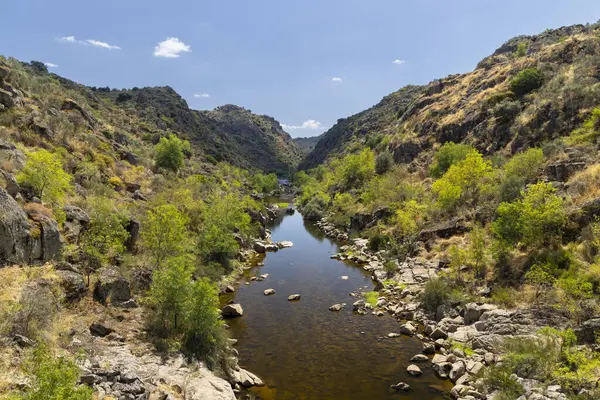 Park Arqueologico Vale do Coa (Coa Valley), UNESCO sitesi, paleolitik kaya resimleri, Kuzey Portekiz, Portekiz
