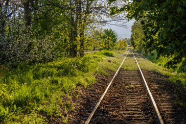 Otovice, Doğu Bohemya, Çek Cumhuriyeti yakınlarındaki tren rayları