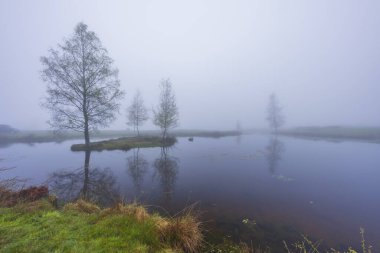 Plato des Grilloux, Thousand Ponds Plateau (Plateau des Mille etangs), Haute Saone, Bourgogne-Franche-Comte, Fransa