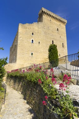 Chateauneuf-du-Pape Kalesi kalıntıları, Cotes du Rhone, Fransa