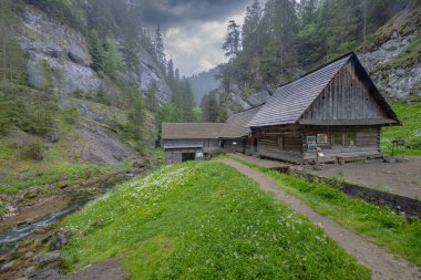 Slovakya 'nın Kvacianska Vadisi yakınlarındaki su değirmenleri