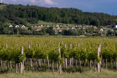 Hercegkut, UNESCO bölgesi, Great Plain, Kuzey Macaristan 'da geleneksel şarap mahzenleri (Gombos-hegyi pincesor)