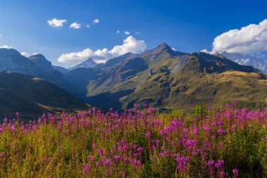 Col du Petit-Saint-Bernard yakınlarındaki manzara Mont Blanc ile Fransa ve İtalya sınırında