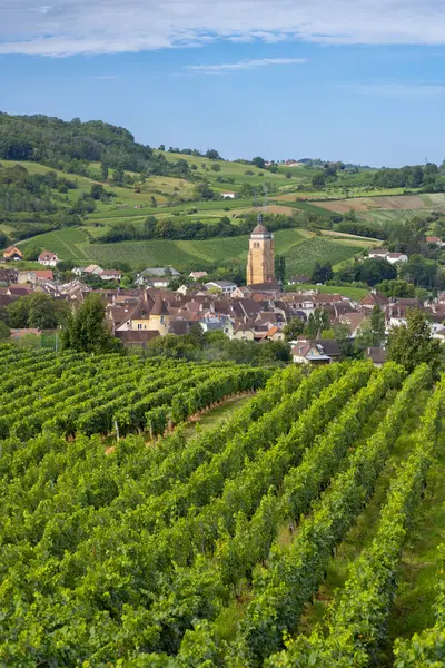 Arbois kasabası, Jura Bölümü, Fransisco-Comte, Fransa