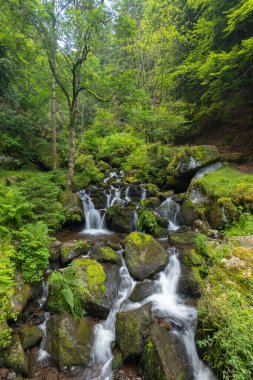 Water wheel mill (Moulin de Chambeuil) with waterfalls, Laveissiere, Cantal, Auvergne-Rhone-Alpes, France clipart