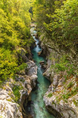 Great Soca Gorge (Velika korita Soce), Triglavski Ulusal Parkı, Slovenya