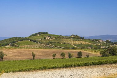 İtalya 'nın Montalcino kasabası yakınlarındaki Toskana' nın en ünlü üzüm bağları.