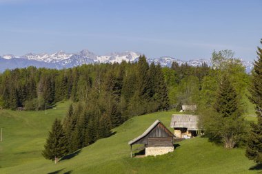 Typical wooden log cabins in Gorjuse, Triglavski national park, Slovenia