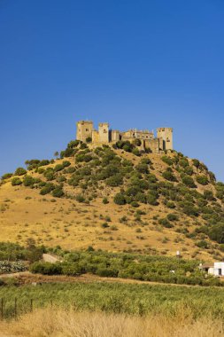 Endülüs 'teki Almodovar del Rio kalesi, İspanya