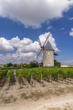 Vineyards with Lamarque windmill, Haut-Medoc, Bordeaux, Aquitaine, France clipart