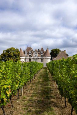 Monbazillac Şatosu (Chateau de Monbazillac) üzüm bağı, Dordogne Bölümü, Aquitaine, Fransa