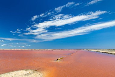 Camargue bölgesindeki Salin de Giraud, Provence, Fransa