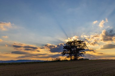 Doğa koruma alanı Broumovske steny, doğu Bohemya, Çek Cumhuriyeti