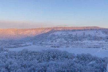 Hnanice yakınlarındaki Nine Mills Viewpoint, NP Podyji, Güney Moravya, Çek Cumhuriyeti