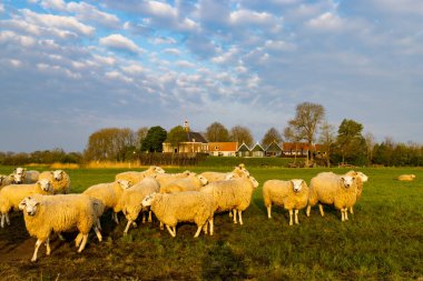 Eski Schokland Adası, UNESCO Dünya Mirası Alanı, Hollanda