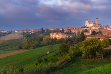 Grana Monferrato, Piedmont, İtalya yakınlarındaki tipik üzüm bağları