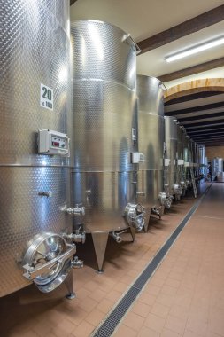 Modern üretim şarap mahzeni paslanmaz çelik tank, Canale, Piedmont, İtalya