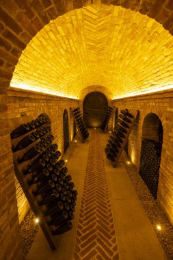 Depolanmış şarap şişeleri, şarap çellası, Canale, Piedmont, İtalya