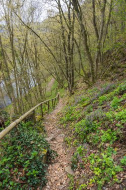 Landscape near Uberstieg, National park Thayatal , Lower Austria, Austria clipart