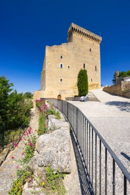 Chateauneuf-du-Pape Kalesi kalıntıları, Cotes du Rhone, Fransa