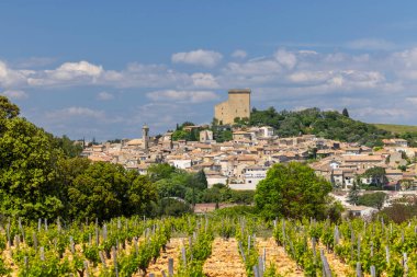 Chateauneuf-du-Pape yakınlarında taşları olan tipik üzüm bağları, Cotes du Rhone, Fransa
