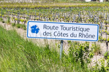Şarap yolu (Route Touristique des Cotes du Rhone) Faucon, Cotes du Rhone, Fransa yakınlarındaki tipik üzüm bağları