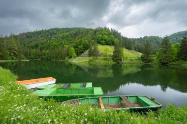 Landscape near Dedinky and Stratena with Hnilec river, National Park Slovak Paradise, Slovakia clipart