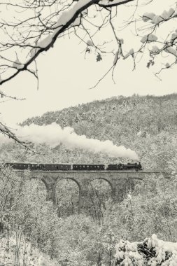 Steam locomotive on Zampach bridge near Jilove u Prahy, Central Bohemia, Czech Republic clipart