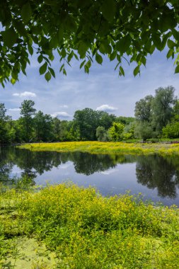 Zahorie bölgesinde bahar manzarası