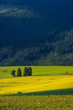 Batı Tatras (Rohace) bahar zamanı, Slovakya