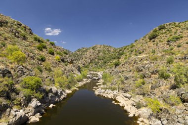 Park Arqueologico Vale do Coa (Coa Valley), UNESCO sitesi, paleolitik kaya resimleri, Kuzey Portekiz, Portekiz