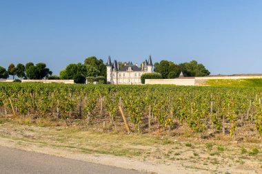 Pichon Longueville Şatosu yakınlarındaki tipik üzüm bağları Baron, Bordeaux, Aquitaine, Fransa